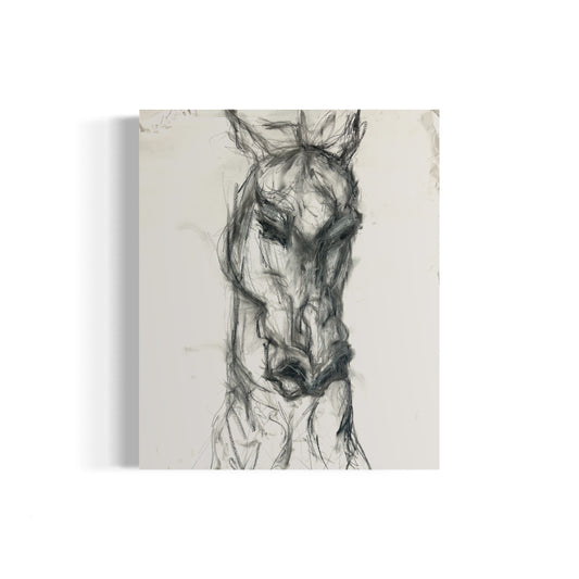 Horse face