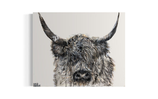 Highland Cow