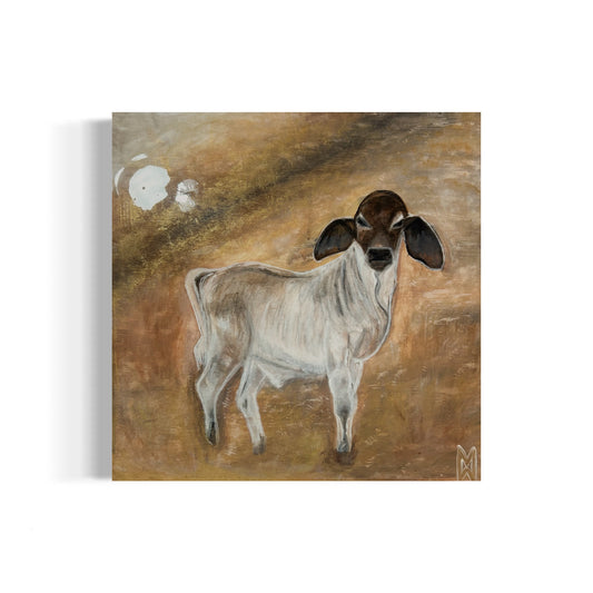 Baby cow