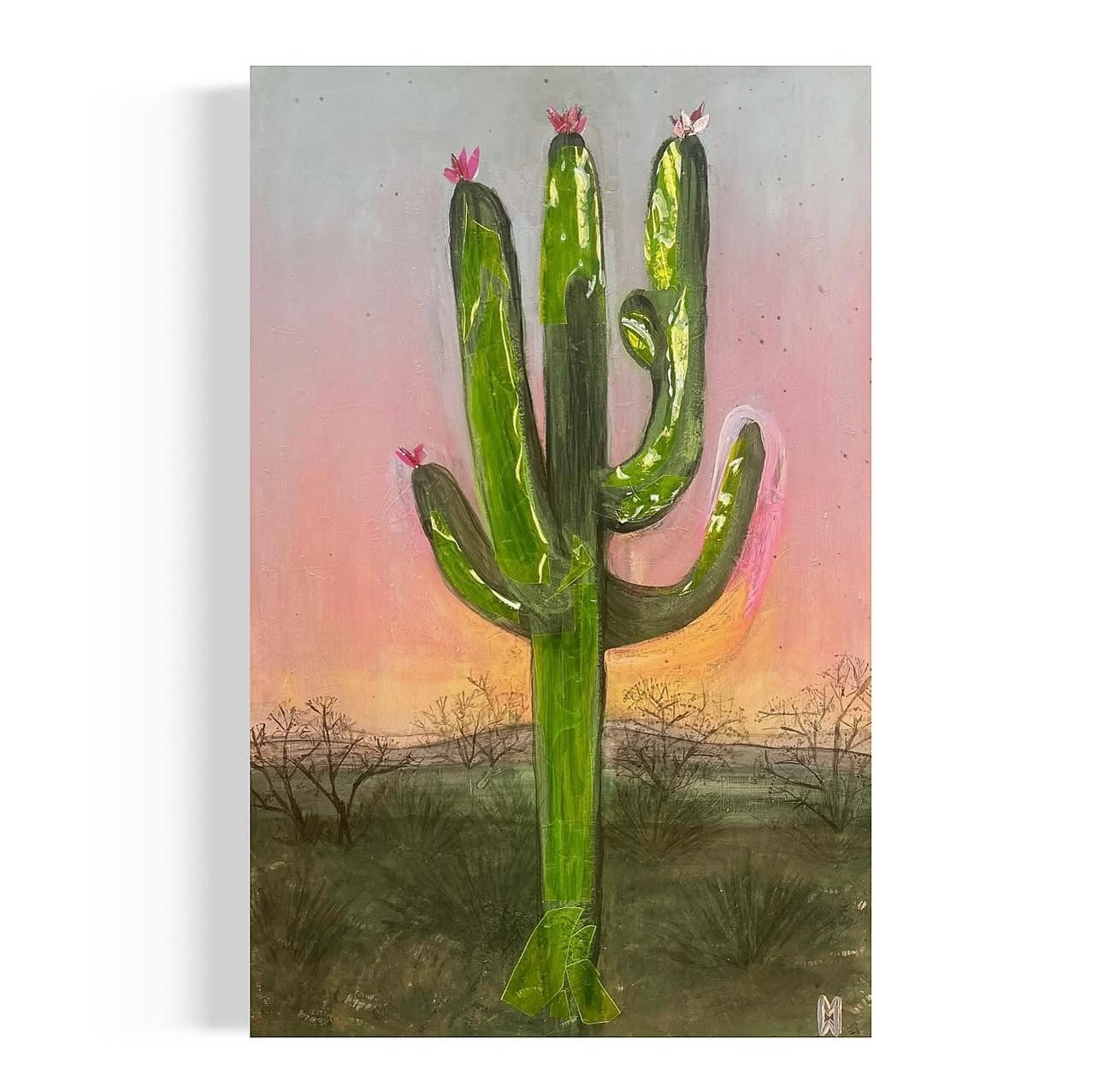 Cactus